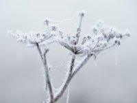 C111274 (1).jpg C111274 (1).jpg