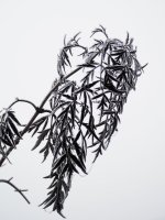 C111307 (1).jpg C111307 (1).jpg