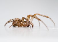 C111353 (1).jpg C111353 (1).jpg