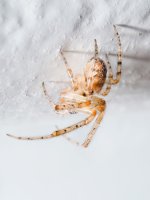 C111334 (1).jpg C111334 (1).jpg