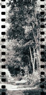 2019-06-23-Foma100-RB67-08.jpg 2019-06-23-Foma100-RB67-08.jpg