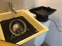 00333496-5082-4BDA-BA18-2112969FC2EF.jpeg 00333496-5082-4BDA-BA18-2112969FC2EF.jpeg