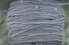 _7818008.jpg _7818008.jpg