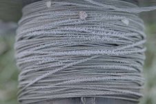 _7818008-2.jpg _7818008-2.jpg