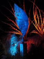 52565274693_f4ec30a34c_c.jpg 52565274693_f4ec30a34c_c.jpg