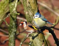 262281196_1916998691836527_7185953913064447217_n.jpg 262281196_1916998691836527_7185953913064447217_n.jpg