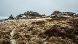 012 Bellever Tor 04-9531 PS Adj.JPG