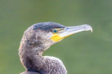 D780 - DSC_3883_2.jpg