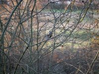 On1 Tack Sharp AI.jpg