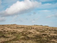 025 Ugborough Beacon 11-2294 PS Adj.JPG