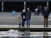 Happy days composition.jpg