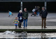 Happy days composition 2.jpg