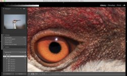 resolutionSm.jpg resolutionSm.jpg