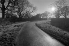 2201BPMXBW35 Beausale lane.jpg