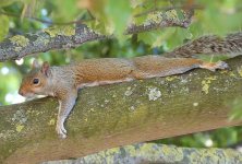 Addison 8.jpg Addison 8.jpg