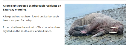 Opera Snapshot_2022-12-31_151134_www.thisisthecoast.co.uk.png