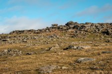 011 Roos Tor 02-9641 PS Adj.JPG