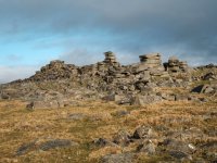 023 Gt Staple Tor 03-9662 PS Adj.JPG