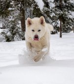 20200129-BC298846_DxO-1.jpg 20200129-BC298846_DxO-1.jpg