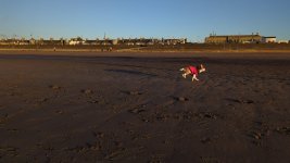 Manual Shutter Speed.jpg