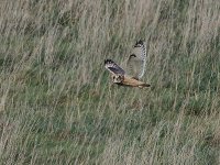 20230102-O1020333_1.jpg 20230102-O1020333_1.jpg