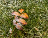 DPOY challenge - month 1 - decay.jpg