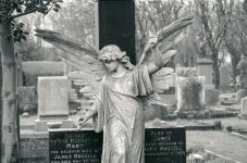 whitley cemetery angel 2.jpg