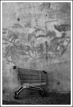 4B17E144-424B-43C3-991E-D31C796A8FD4.jpeg 4B17E144-424B-43C3-991E-D31C796A8FD4.jpeg