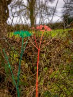 Candidate-2.jpg Candidate-2.jpg