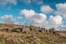 026 Arms Tor 05-9730 PS Adj.JPG