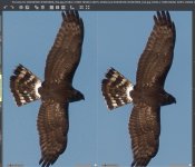 Screenshot 2023-01-10 at 10.07.15small.jpg Screenshot 2023-01-10 at 10.07.15small.jpg