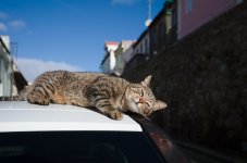 M10R3837.LR.jpg M10R3837.LR.jpg