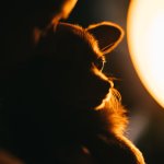 Yuffie Hugs - sq (2 of 2) - B0004188.jpg Yuffie Hugs - sq (2 of 2) - B0004188.jpg