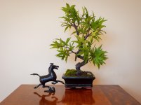 Artificial-2.jpg Artificial-2.jpg