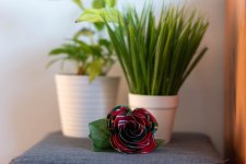 Week 3 - artificial + juxtaposition.jpg