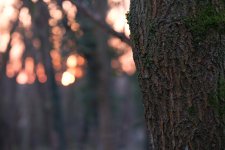 DSCF3591.jpg DSCF3591.jpg