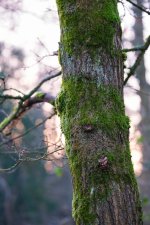 DSCF3597.jpg DSCF3597.jpg