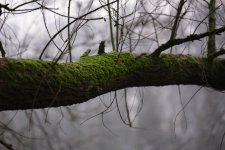 DSCF3639.jpg DSCF3639.jpg