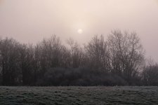 DSCF3691.jpg DSCF3691.jpg