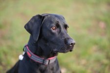 DSCF3957.jpg DSCF3957.jpg