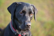 DSCF4138.jpg DSCF4138.jpg