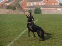 DSCF4195.jpg DSCF4195.jpg