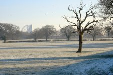 Mill Lane.jpg Mill Lane.jpg