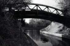 Cow Roast Marina.JPG