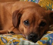 Screenshot 2023-01-24 at 22.15.17.jpg