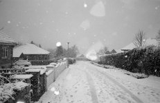 2022-01-23-0004-copy.jpg 2022-01-23-0004-copy.jpg