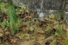 001 Decay M9 01-1004356 PS Adj.JPG