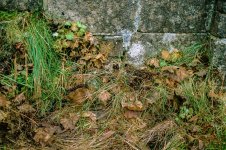 002 Decay MP 01-053720010002 PS Adj.JPG