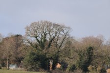 PS5_4801_1024.jpg PS5_4801_1024.jpg