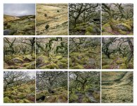 Bronica Contact Sheet from Wistman's Wood Portra 400.jpg Bronica Contact Sheet from Wistman's Wood Portra 400.jpg